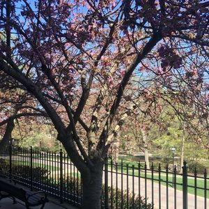 Meet your Posher, Sasha